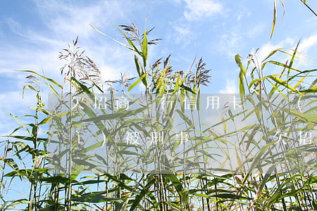 欠招商銀行信用卡兩萬(wàn)會(huì)被刑事訴訟嗎，欠招商銀行信用卡兩萬(wàn)是否可能面臨刑事訴訟？